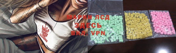 гашик Карталы