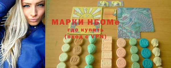 индика Киренск