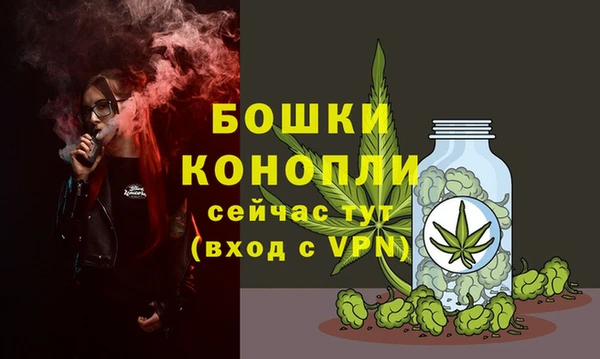 индика Киренск